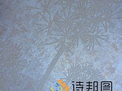 中國新型環(huán)保建材--買優(yōu)惠的綠色建材,就來詩邦圖-詩邦圖(中國)品牌運營總部提供中國新型環(huán)保建材--買優(yōu)惠的綠色建材,就來詩邦圖的相關(guān)介紹、產(chǎn)品、服務(wù)、圖片、價格肌理漆、肌理壁膜、福建肌理漆、肌理壁膜漆代理、硅藻泥廠家、肌理液體壁紙、